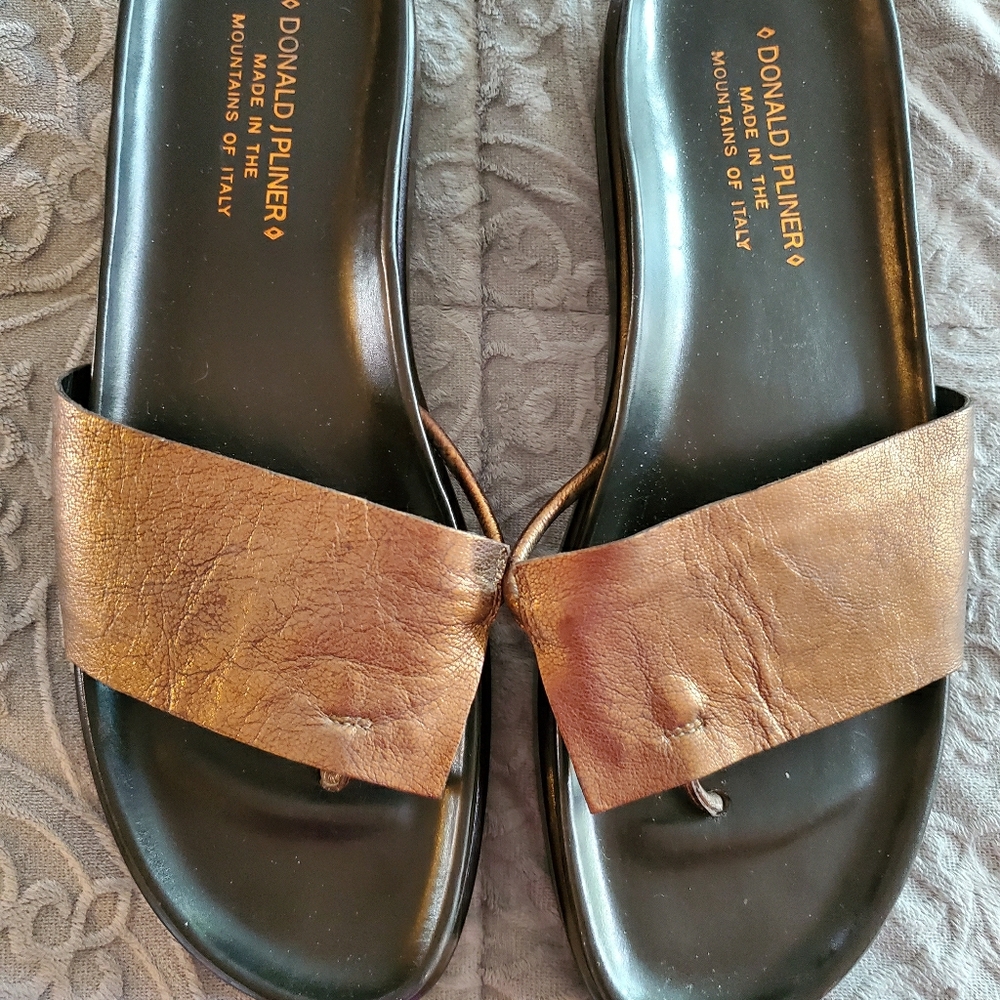 Donald J Pliner sandles